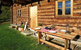 Chalet Sturmbachhuette - Utd110 By Interhome